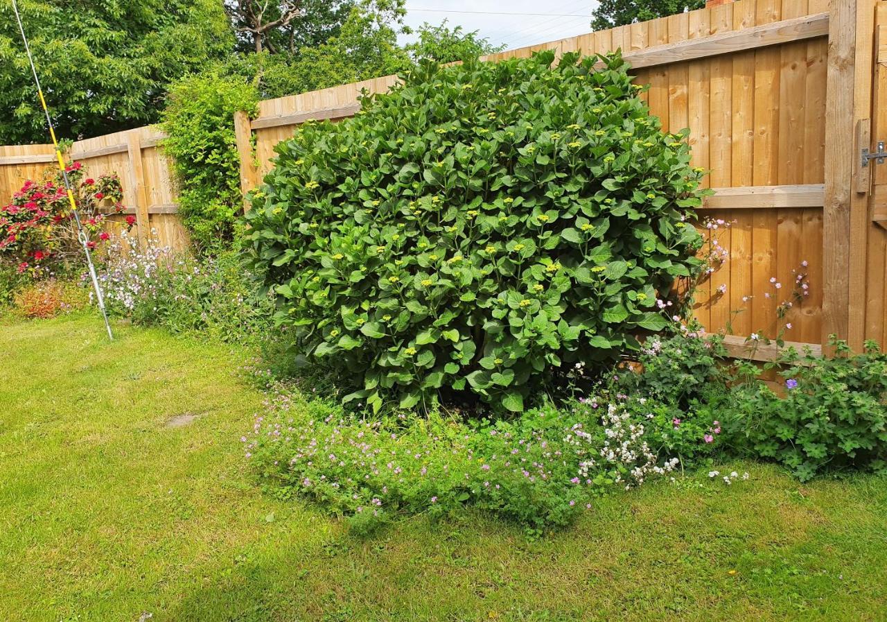 Forest Farm Nottingham - Spacious Self-contained Rural Retreat!