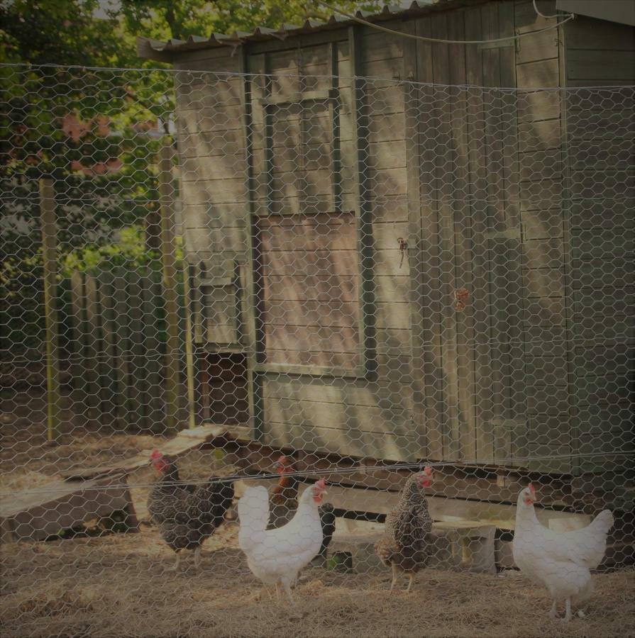 Forest Farm Nottingham - Spacious Self-contained Rural Retreat! * Papplewick